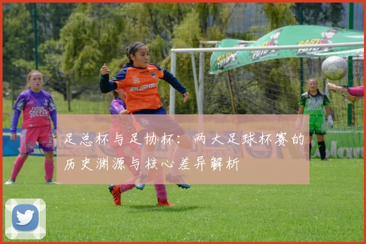 足总杯与足协杯：两大足球杯赛的历史渊源与核心差异解析